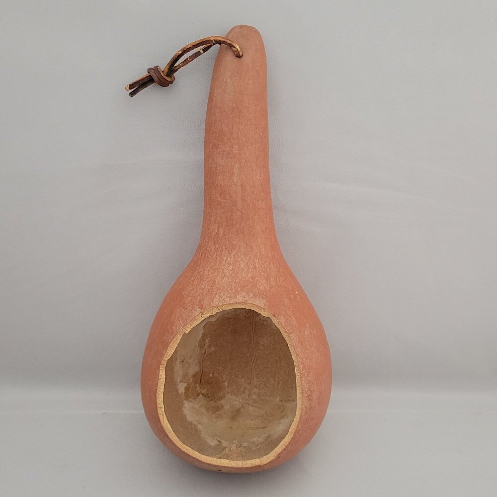 Vtg Natural Dried Gourd Birdhouse Ladle Feeder Craft Cutout Hanging Leather Cord